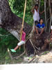 Vine Swing